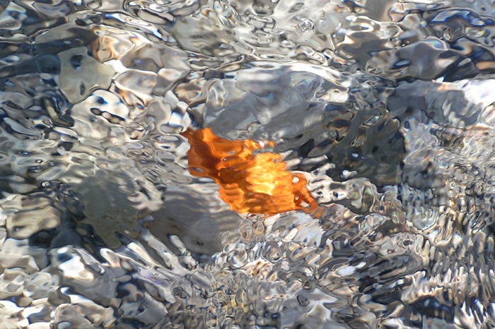 MINOLTA DIGITAL CAMERA